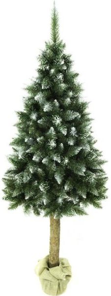 Kerstboom op stam 180 cm zilverspar