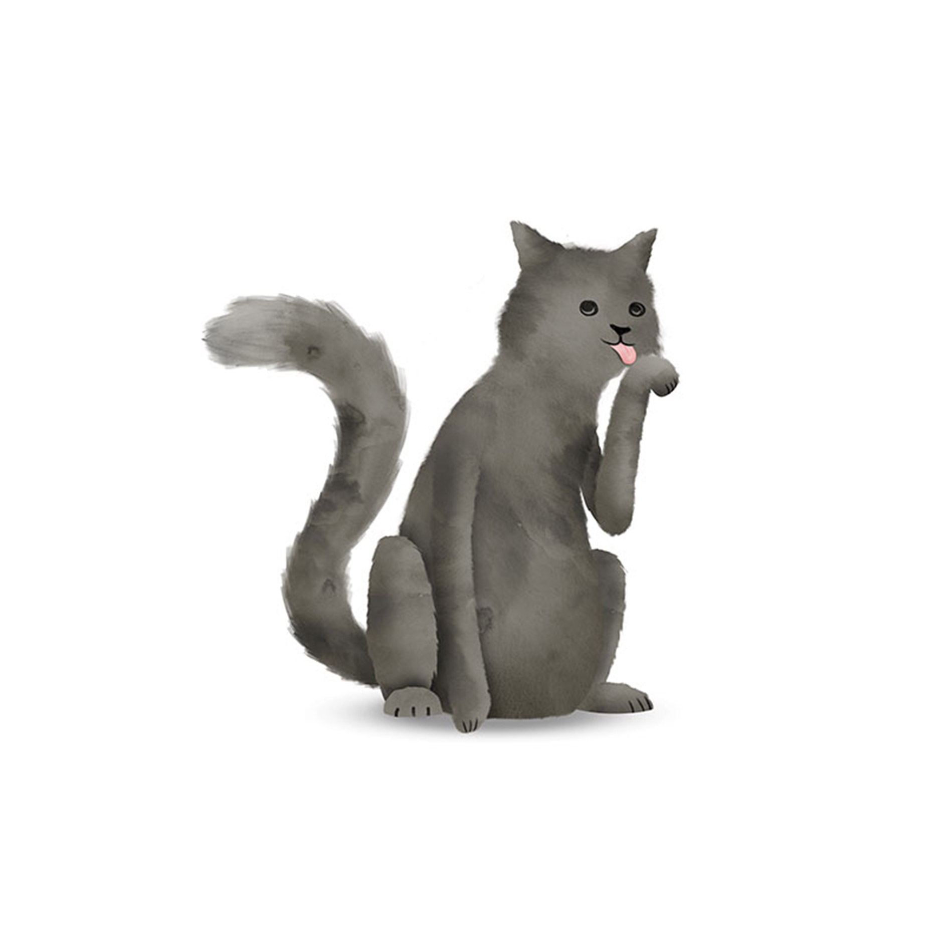 Wandbild CUTE ANIMAL CAT - 50x70 cm