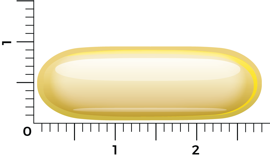 Vitakruid Borage Olie 1500Mg Gla 300Mg Uit Plantaardige Bron (60 softgels)
