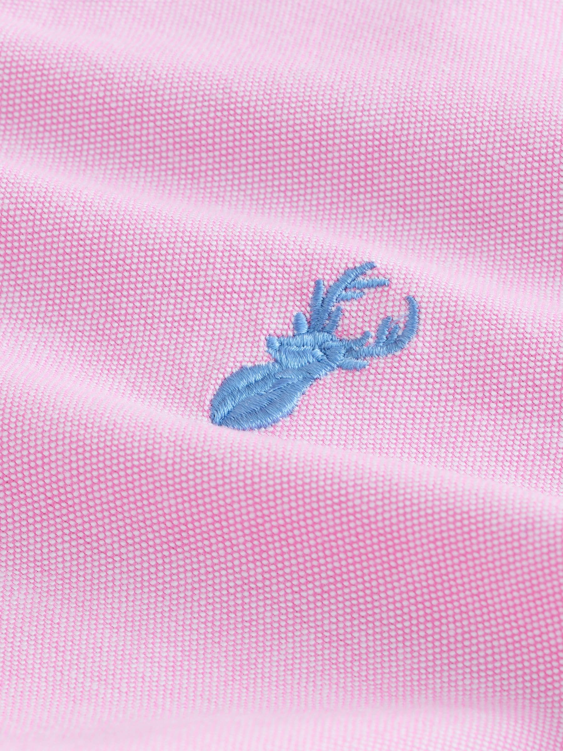 Roze - Normale Pasvorm - Oxford-overhemd met korte mouwen