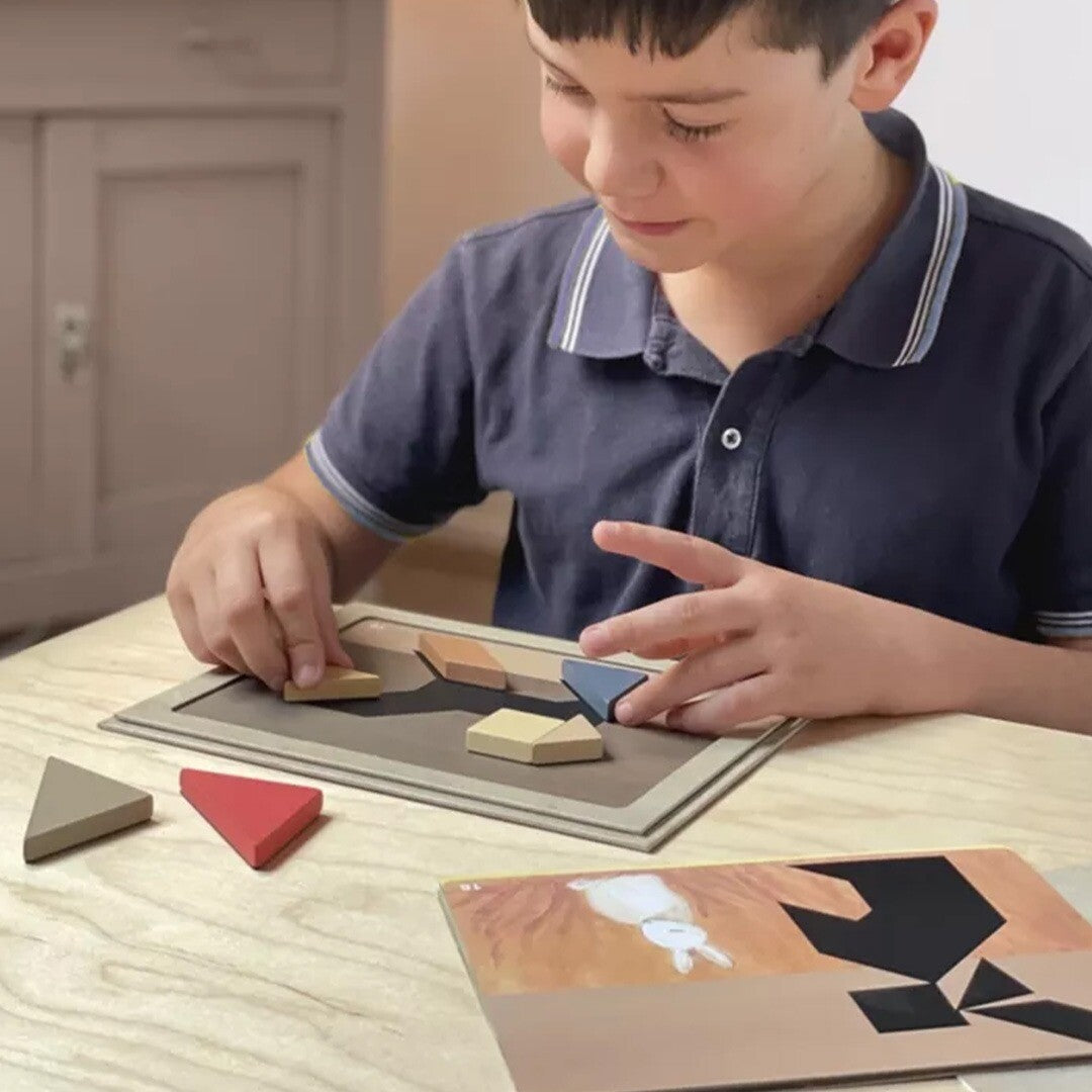 Egmont toys magnetisch spel tangram