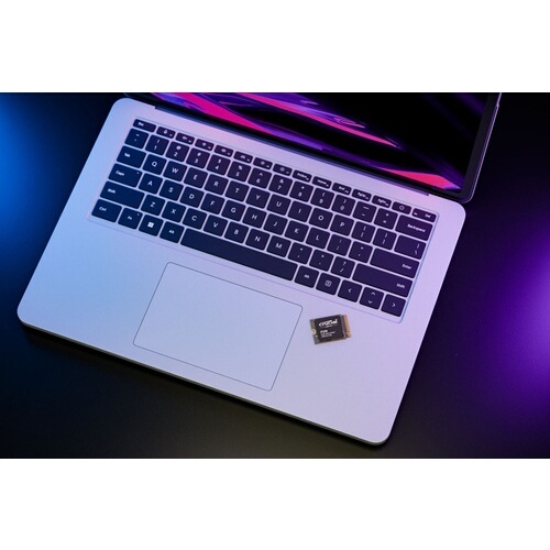 SSD interne Crucial P310 2230 1TO