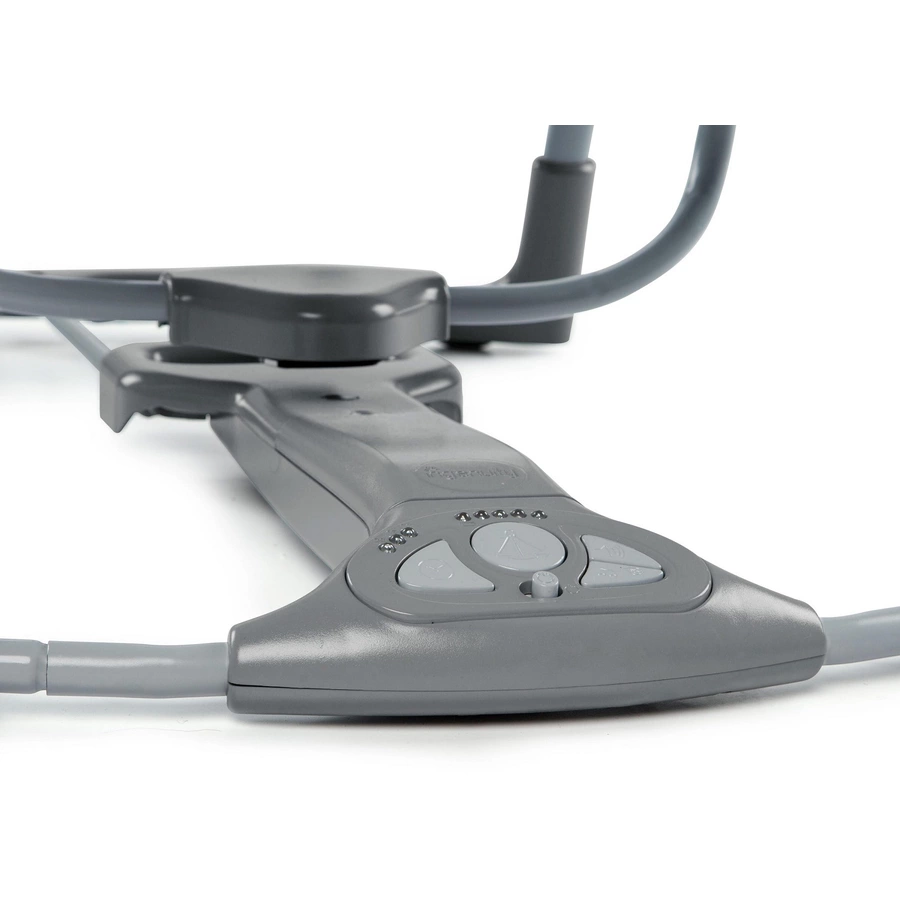 Ingenuity Tragbarer Schaukelsitz Swing 'n Go Bella Teddy