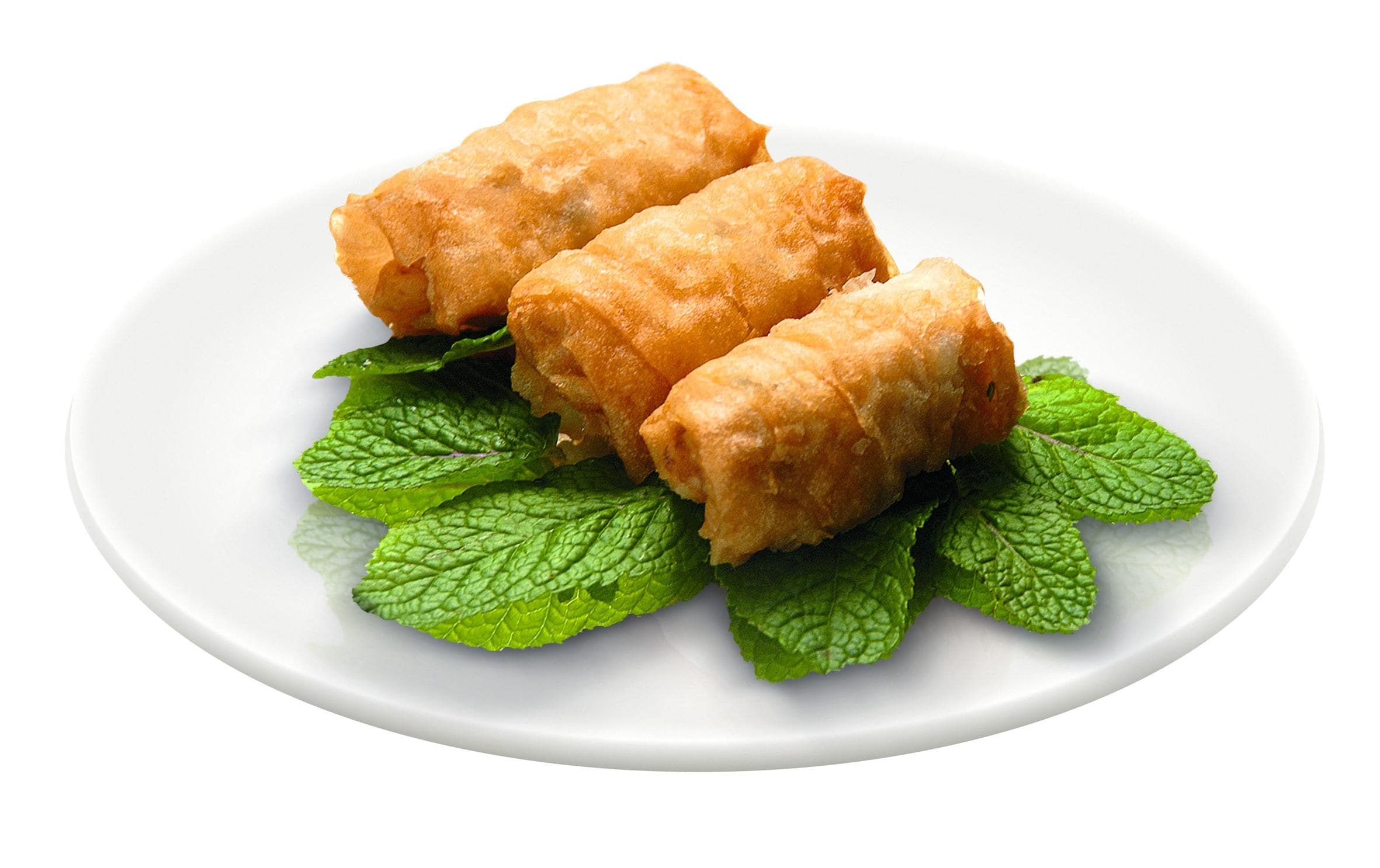 Fritteuse Mega 2 kg<br>Fritteuse mit Antihaftbeschichtung und Kohlenstofffilter