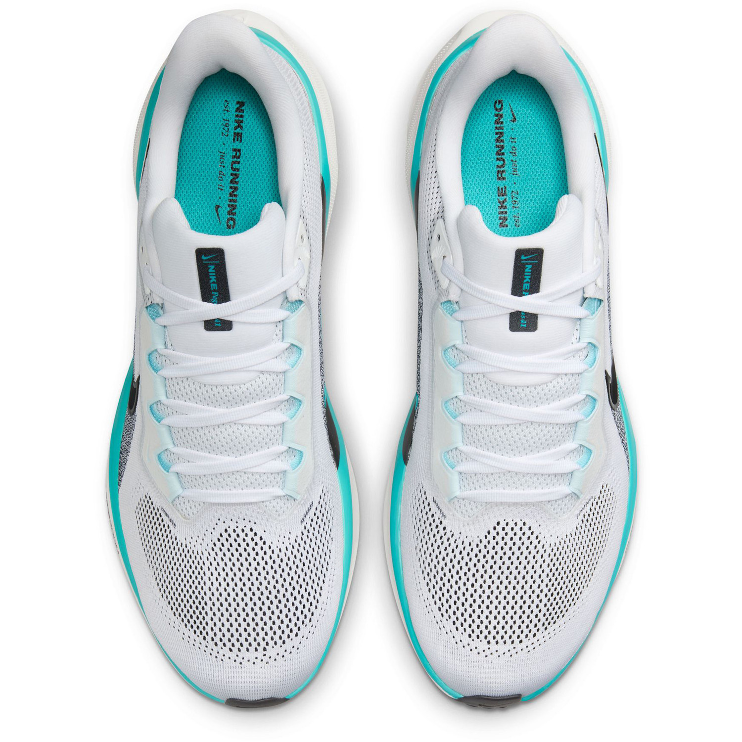 Nike Pegasus 41 Heren