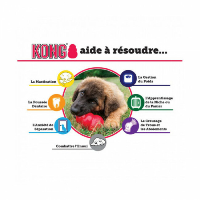 Jouet KONG os Goodie Bone