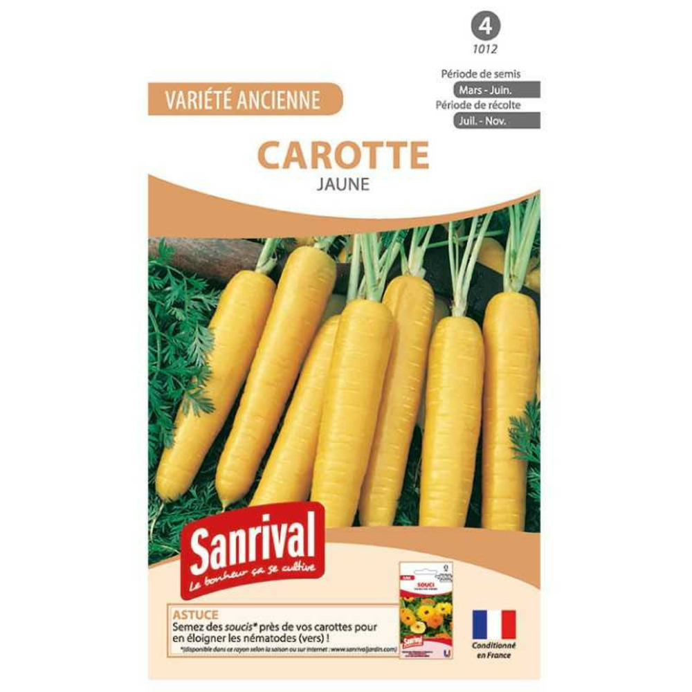 Graines carotte jaune