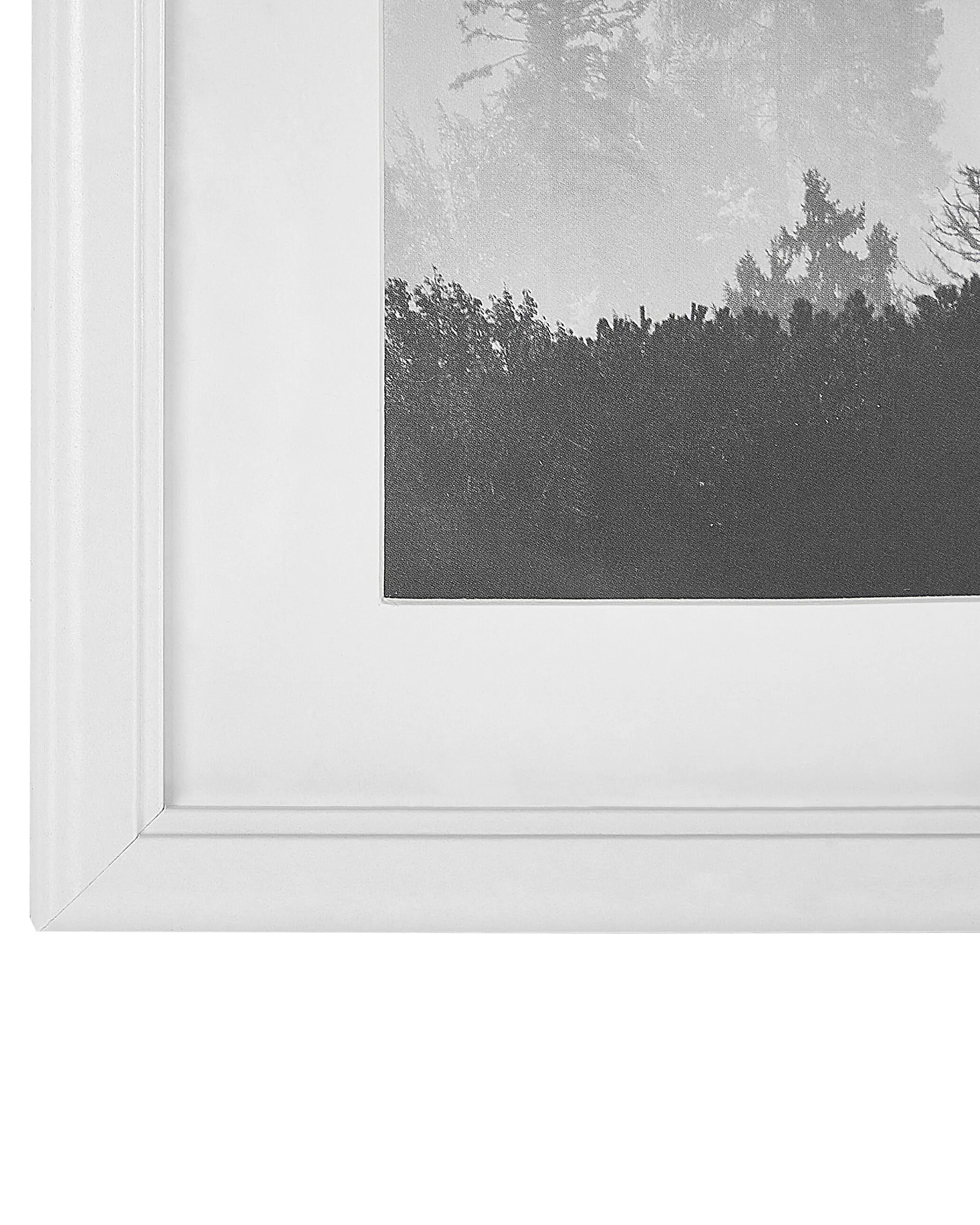 Set van 6 fotolijsten ZINARE Landschap Wit