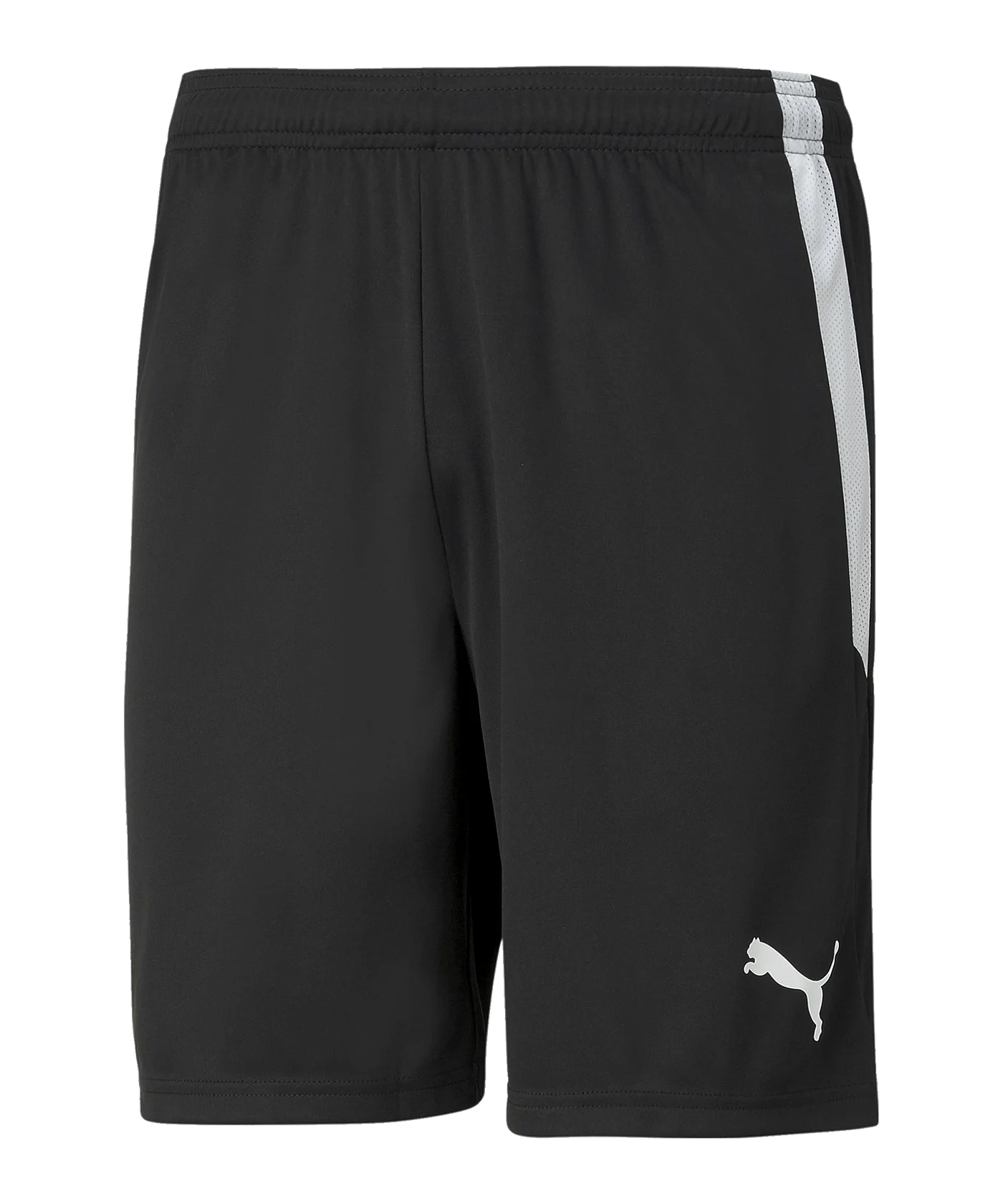 PUMA teamLIGA Short Schwarz Weiss F03
