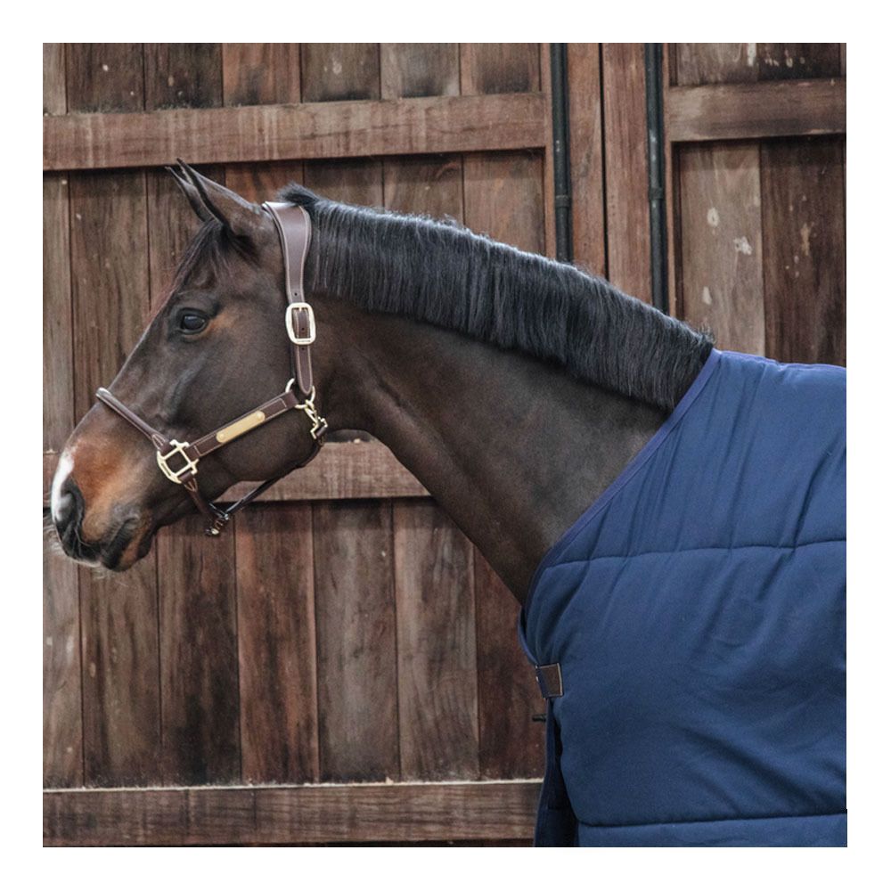 Kentucky CLASSIC 300G - Sous-couverture navy