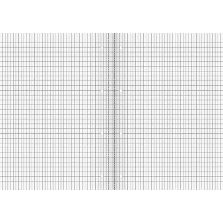 BRUNNEN Schulheft A4 5 x 9 mm rautiert, 4-fach Lochung, Lineatur 39