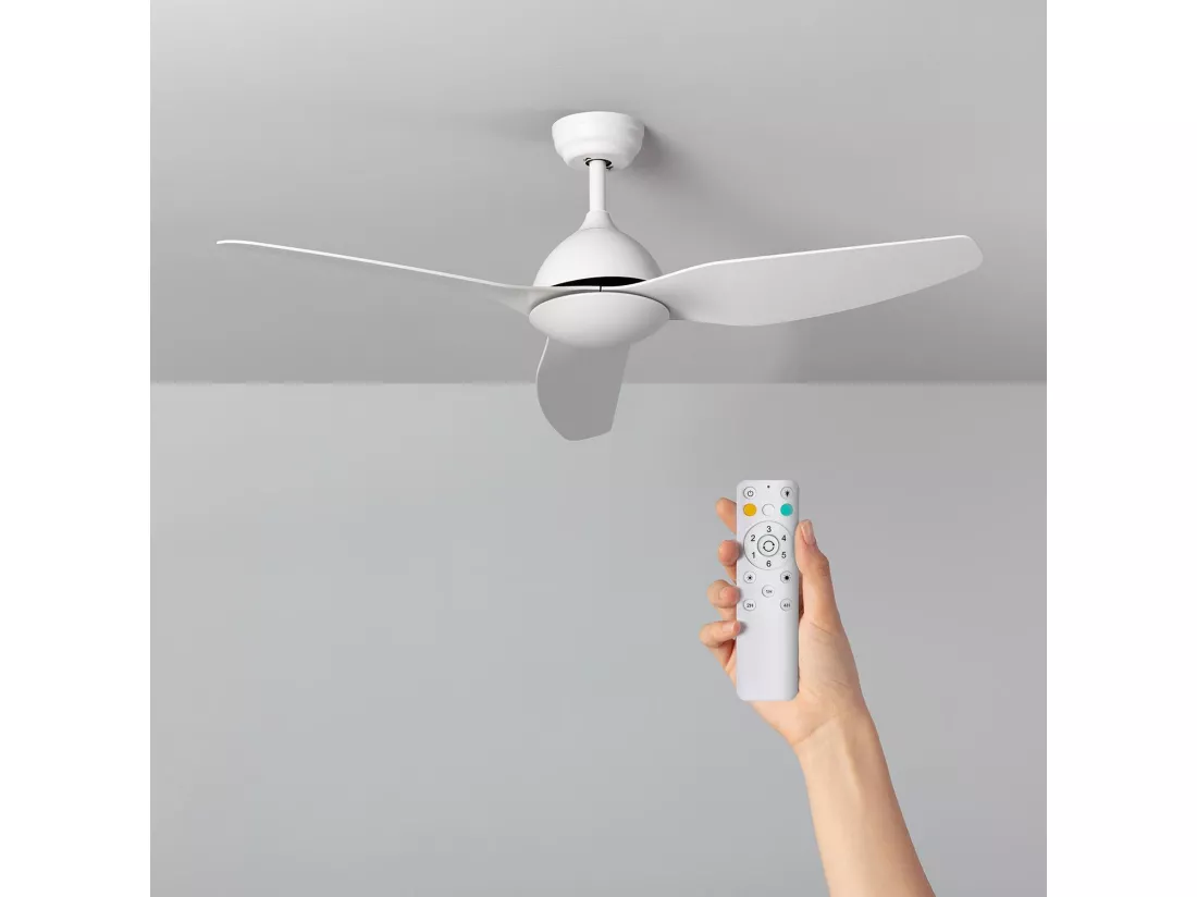 Ventilateur de Plafond Silencieux Woolworth Blanc 127cm Moteur DC Télécommande Sans lumière