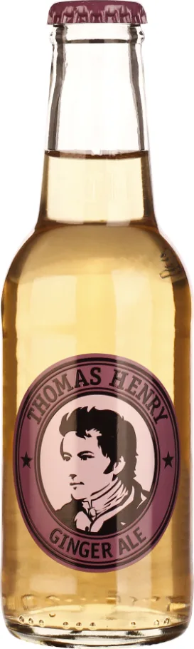 THOMAS HENRY GINGER ALE 24X20CL