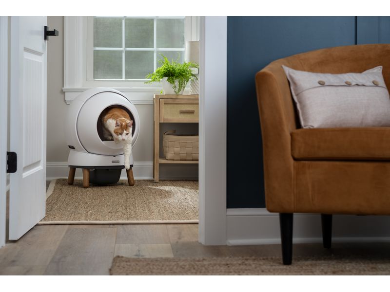 PetSafe Katzentoilette ScoopFree SmartSpin Selbstreinigende Katzentoilette mit App-Steuerung für eine saubere und gesunde Umgebung