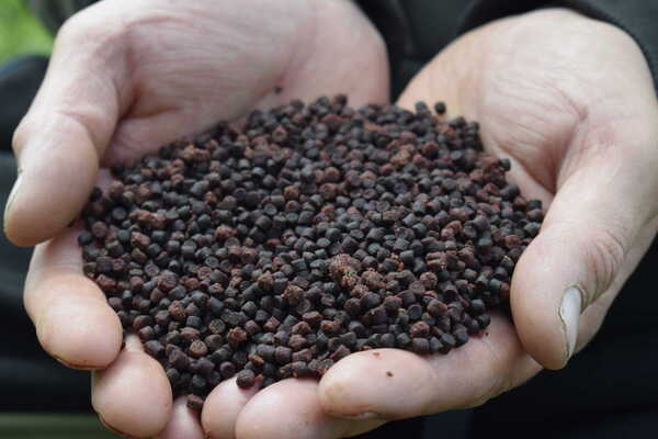 Pellets Sonubaits Cheesy Garlic Halibut (900g)