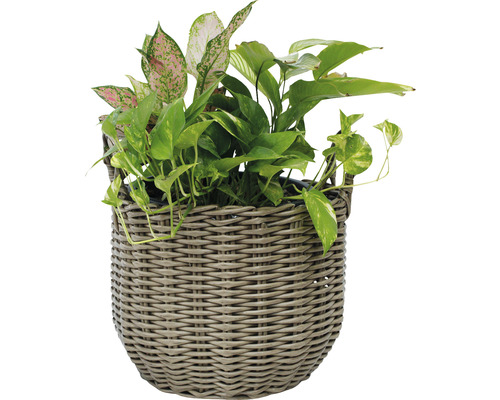 Lafiora polyrotan mand, Ø 44 cm, H 33 cm, bruin