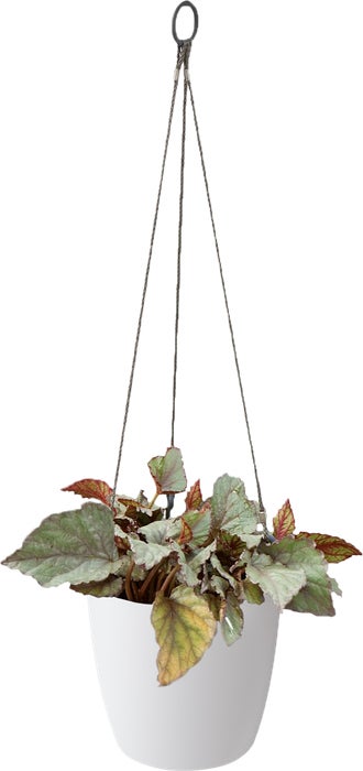 Elho hangpot Brussels wit D 21,5 H 18 cm