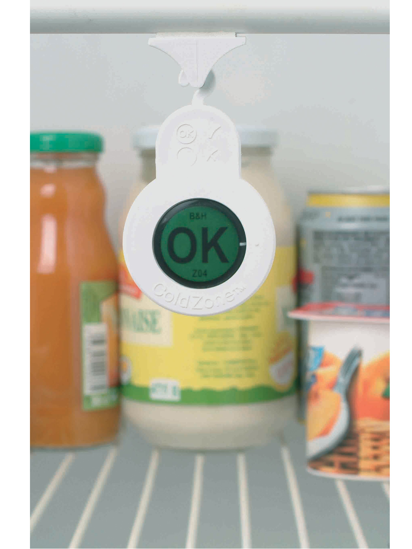 Thermomètre réfrigérateur