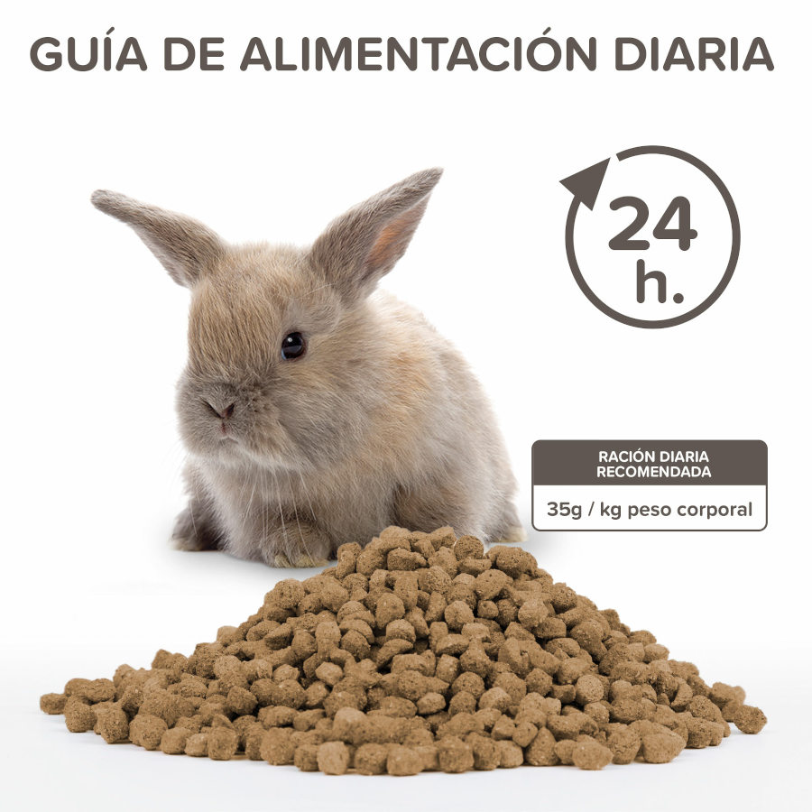 Ração para coelho Beaphar Care+ Junior