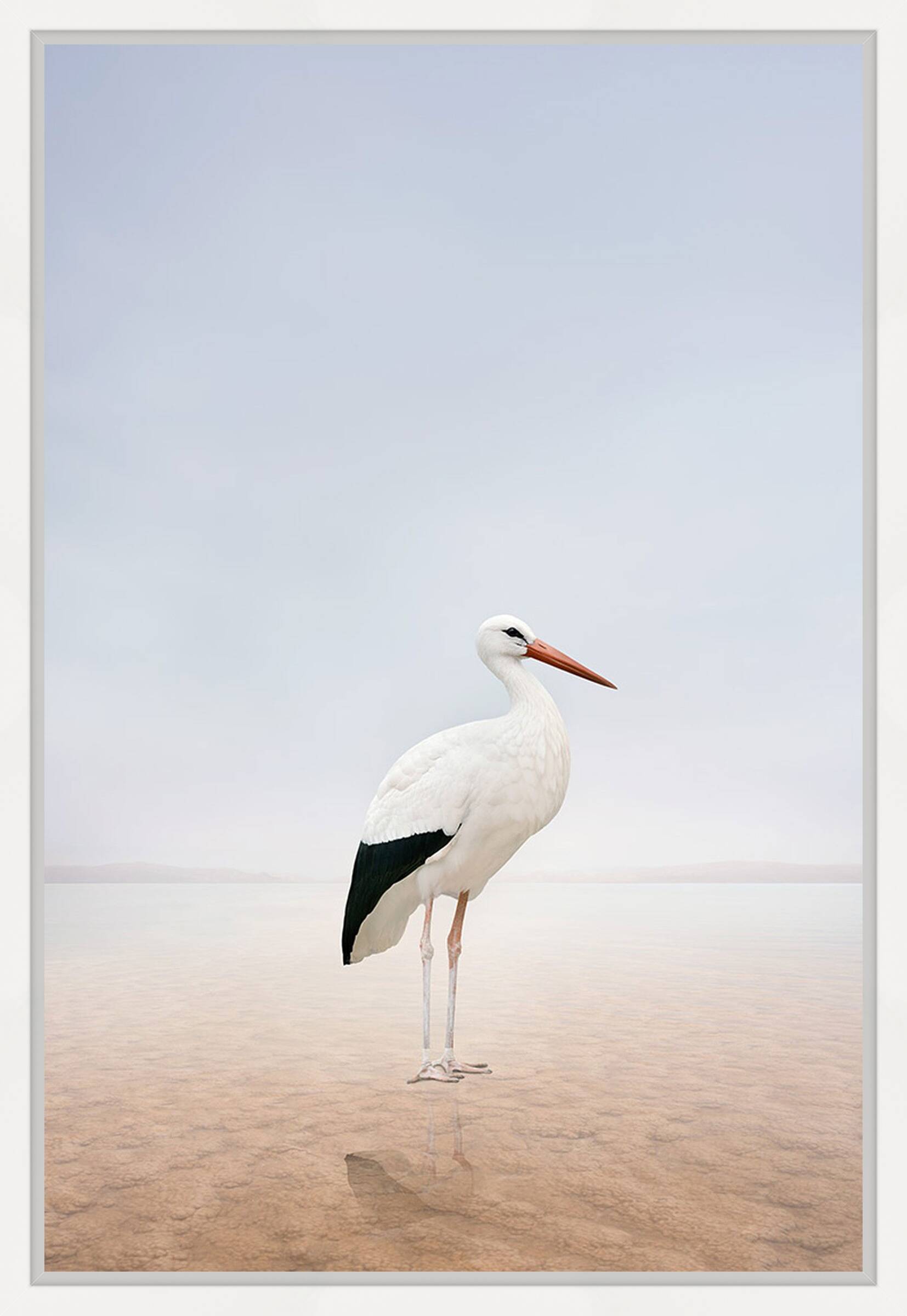 Stillness Stork by Alice Zilberberg - Limited Edition. Edition of: 150. Signed.