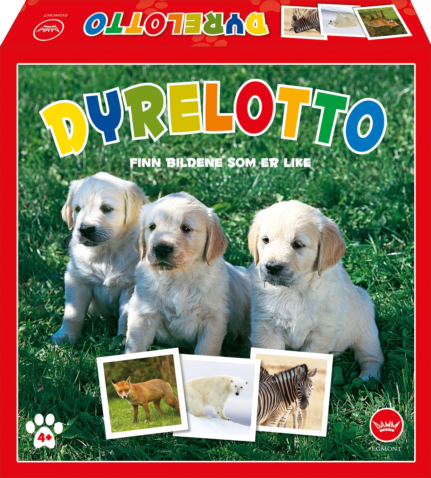 Dyrelotto