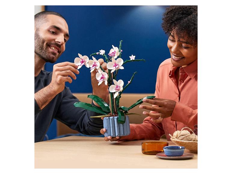 Orchidee - 10311