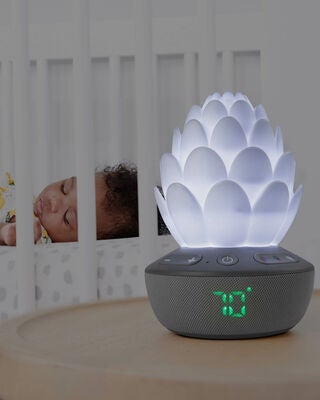 SkipHop Succulent Nattlampe med Gråtesensor