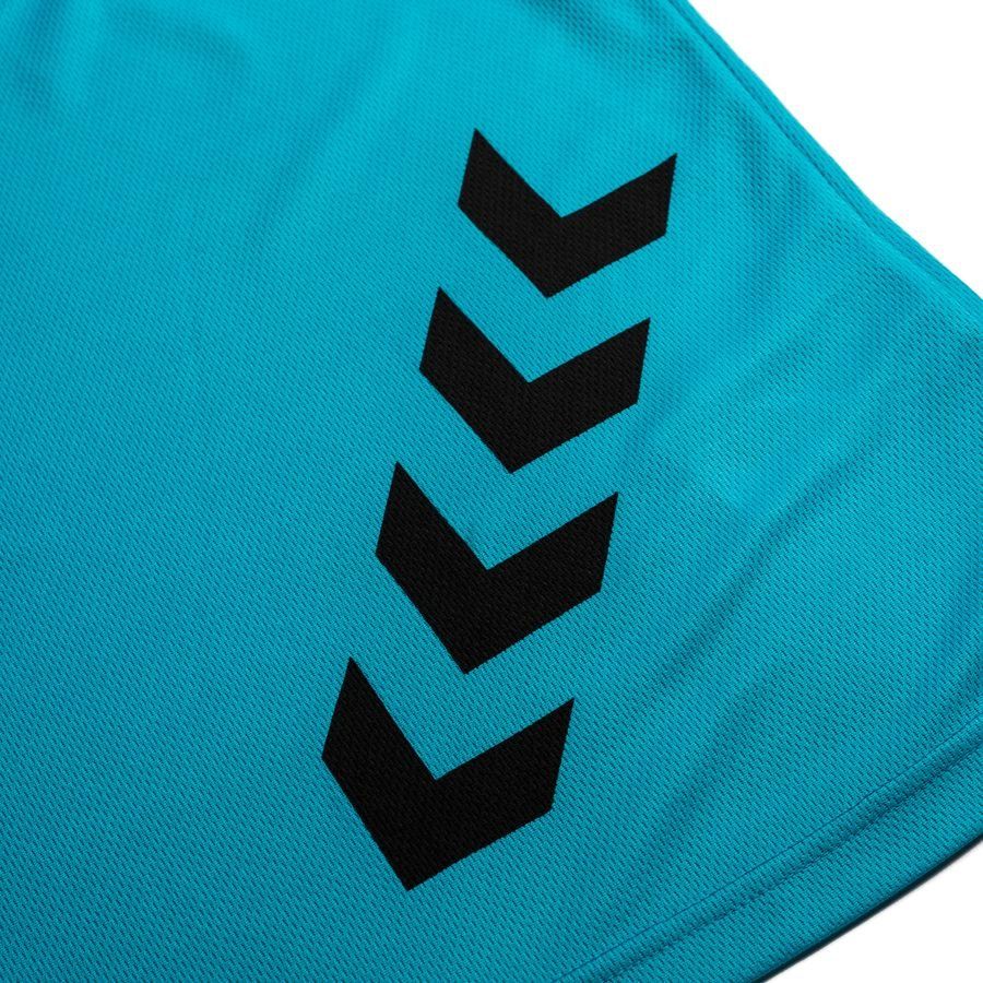 Hummel Chasuble d'entraînement Fundamental - Bleu/Noir