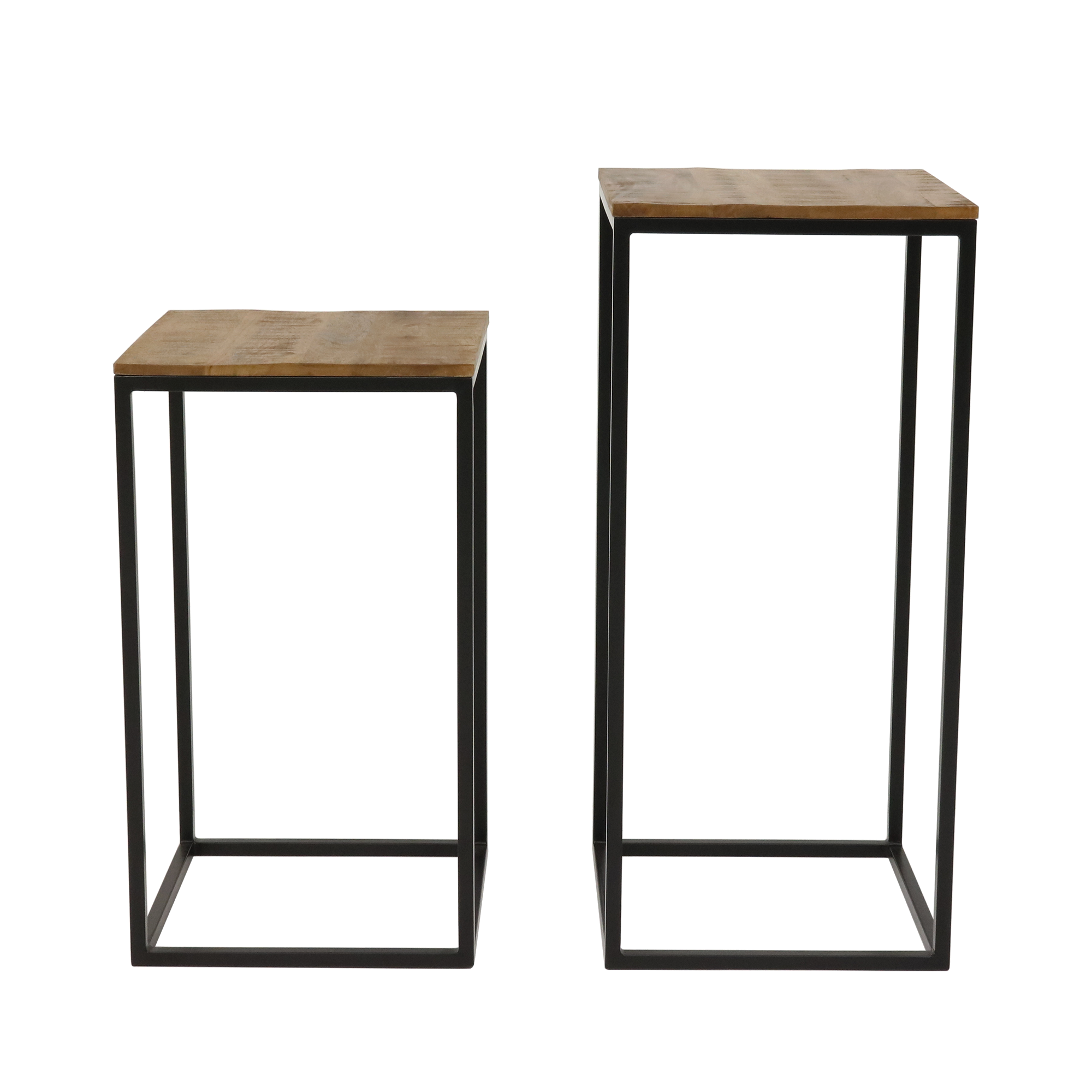 Kick Plantentafel Milo Hoog