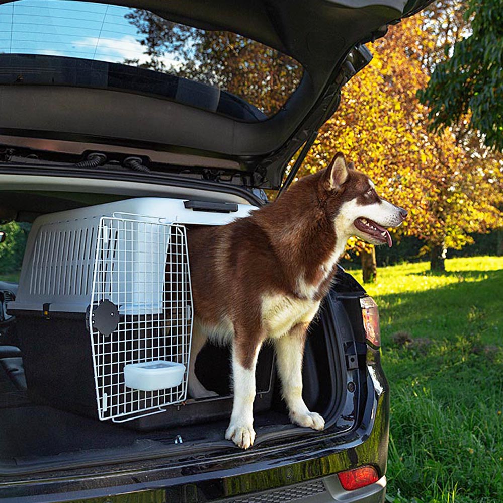 Panier de transport pour grands chiens atlas 60, écuelle et accessoires inclus, verrouillage de sécurité, grilles de ventilation