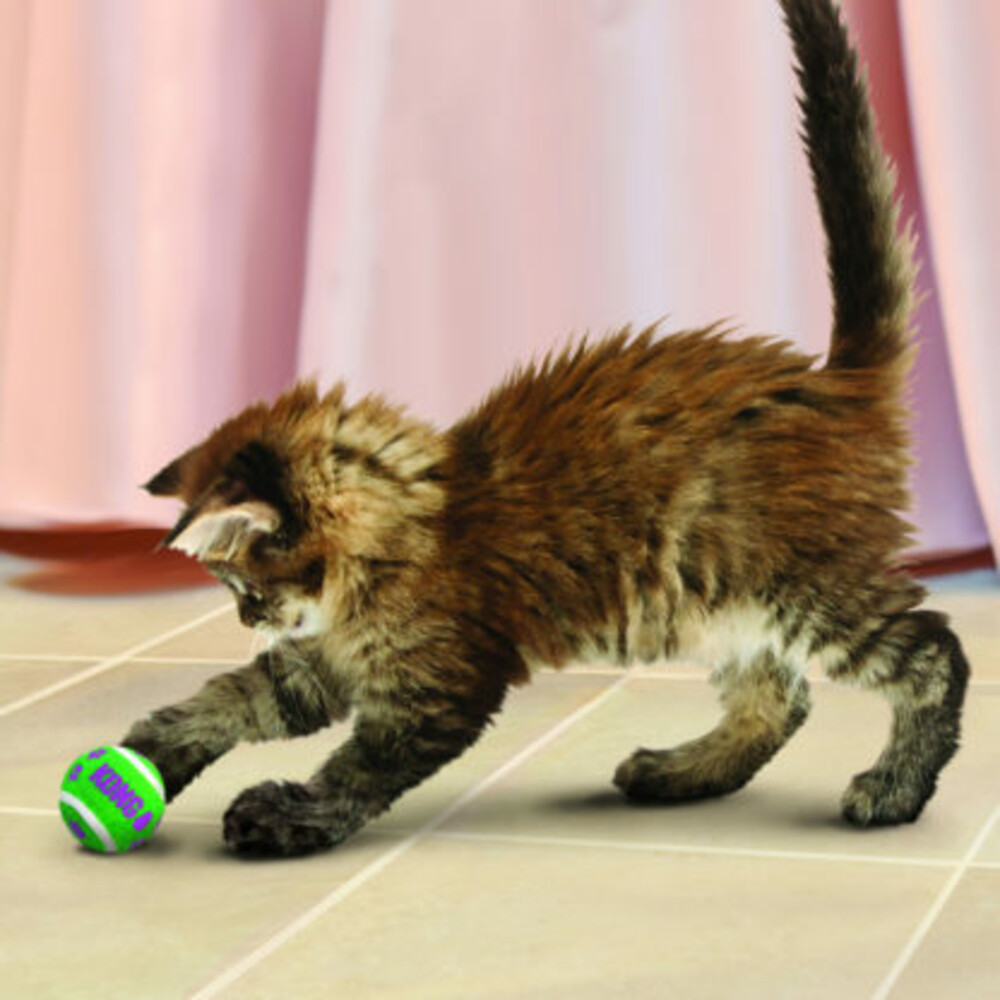 Kong Active Cat Tennisballen3 stuks