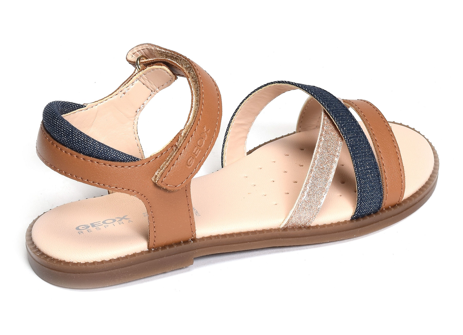 J s karly gd camel