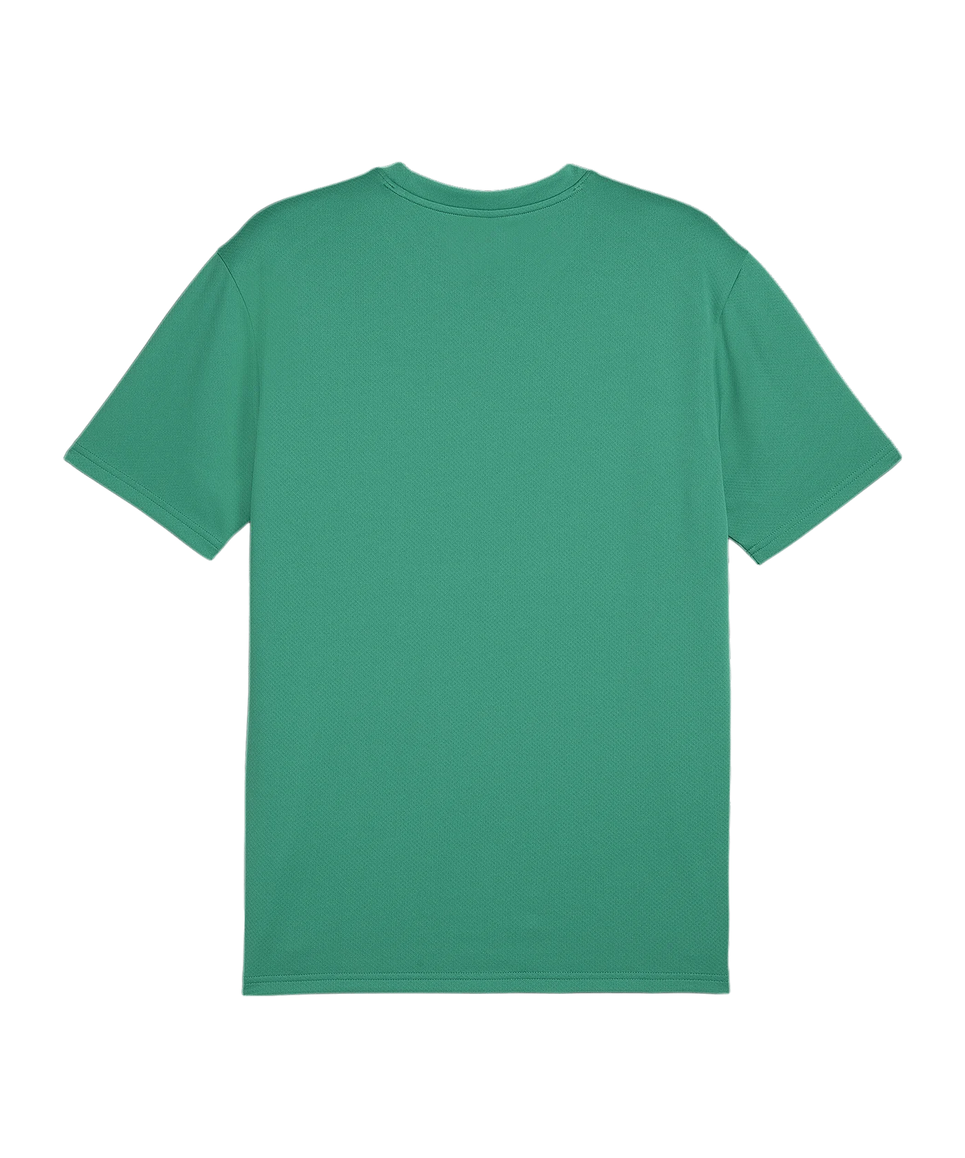 PUMA teamGOAL Trikot Grün F05