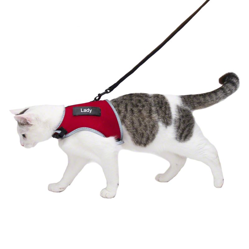 Harnais et laisse XCat Trixie rouge