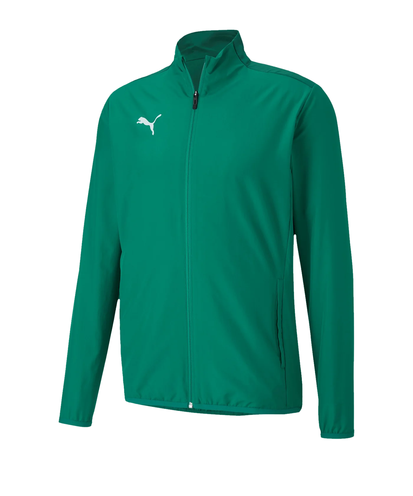 PUMA teamGOAL 23 Sideline Trainingsjacke Grün F05