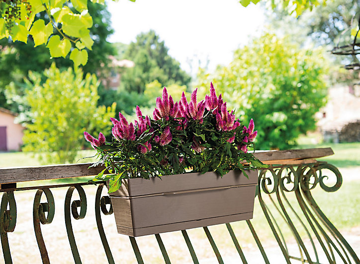 Jardinière à réserve d'eau + support Deroma Save R camel 49 x 29 x h.17.3cm
