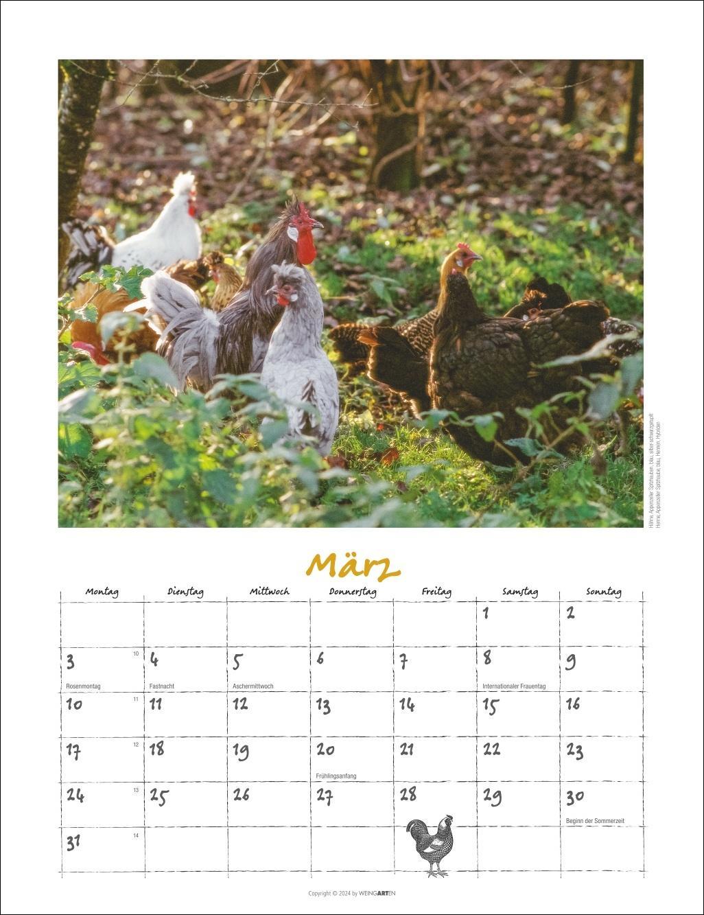 Der Hühnerkalender 2025
