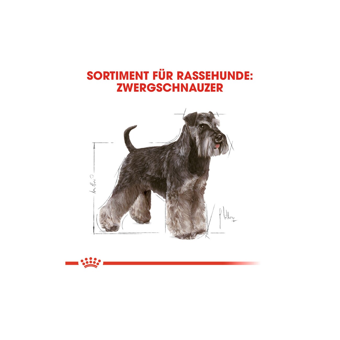 ROYAL CANIN Zwergschnauzer Adult 3kg 3 kg