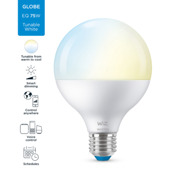 WiZ Connected LED globe E27 75W mat koel tot warmwit licht dimbaar
