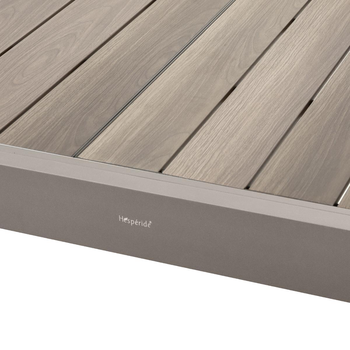 TABLE PIAZZA EXTENSIBLE ALUMINIUM TONKA LIN 10 PLACES
