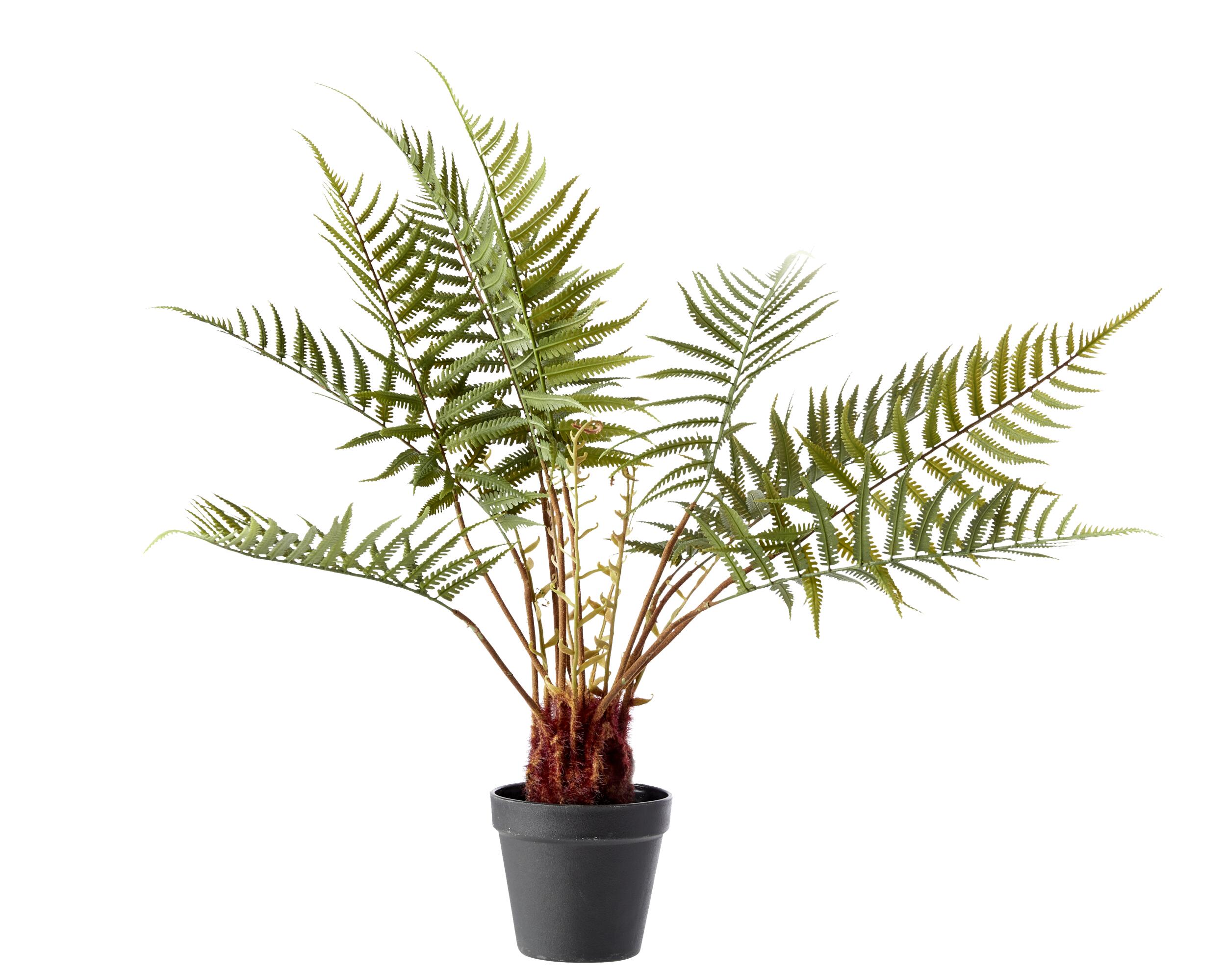 Bregne Kunstig plante 50 cm
