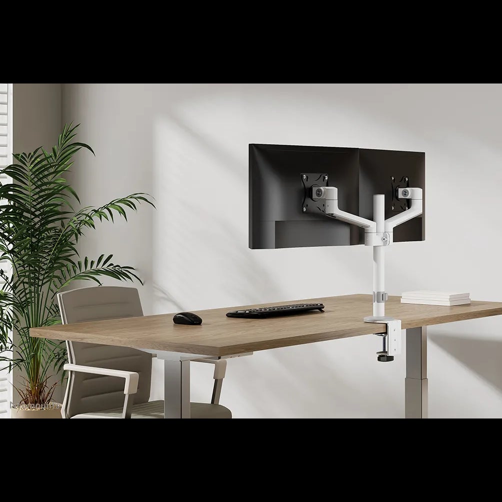 Neomounts DS60-425WH2 bureausteun voor flatscreens