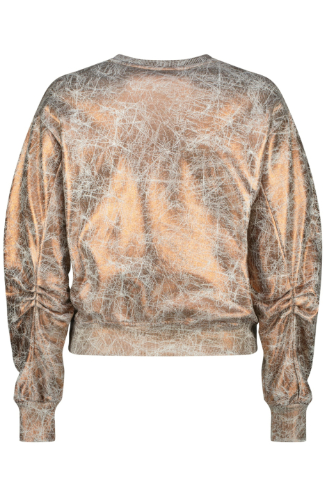 Raizzed bruine dames sweater