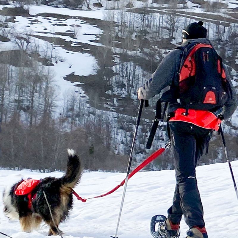 Confort Trek