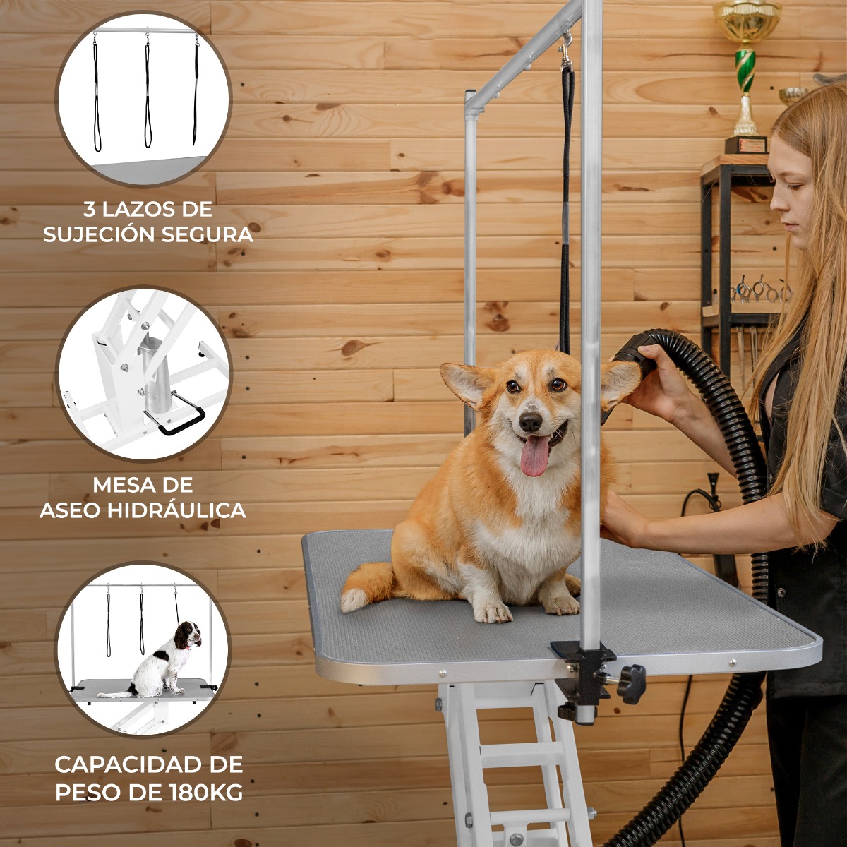 Mesa sanitária hidráulica branca - superfície cinza