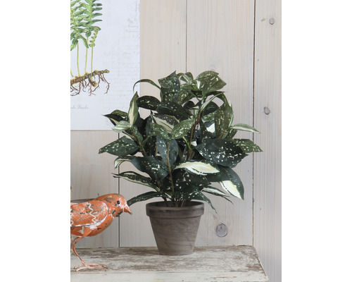 Kunstplant Cordyline (Colubrid) Ø 25 H 35 cm groen