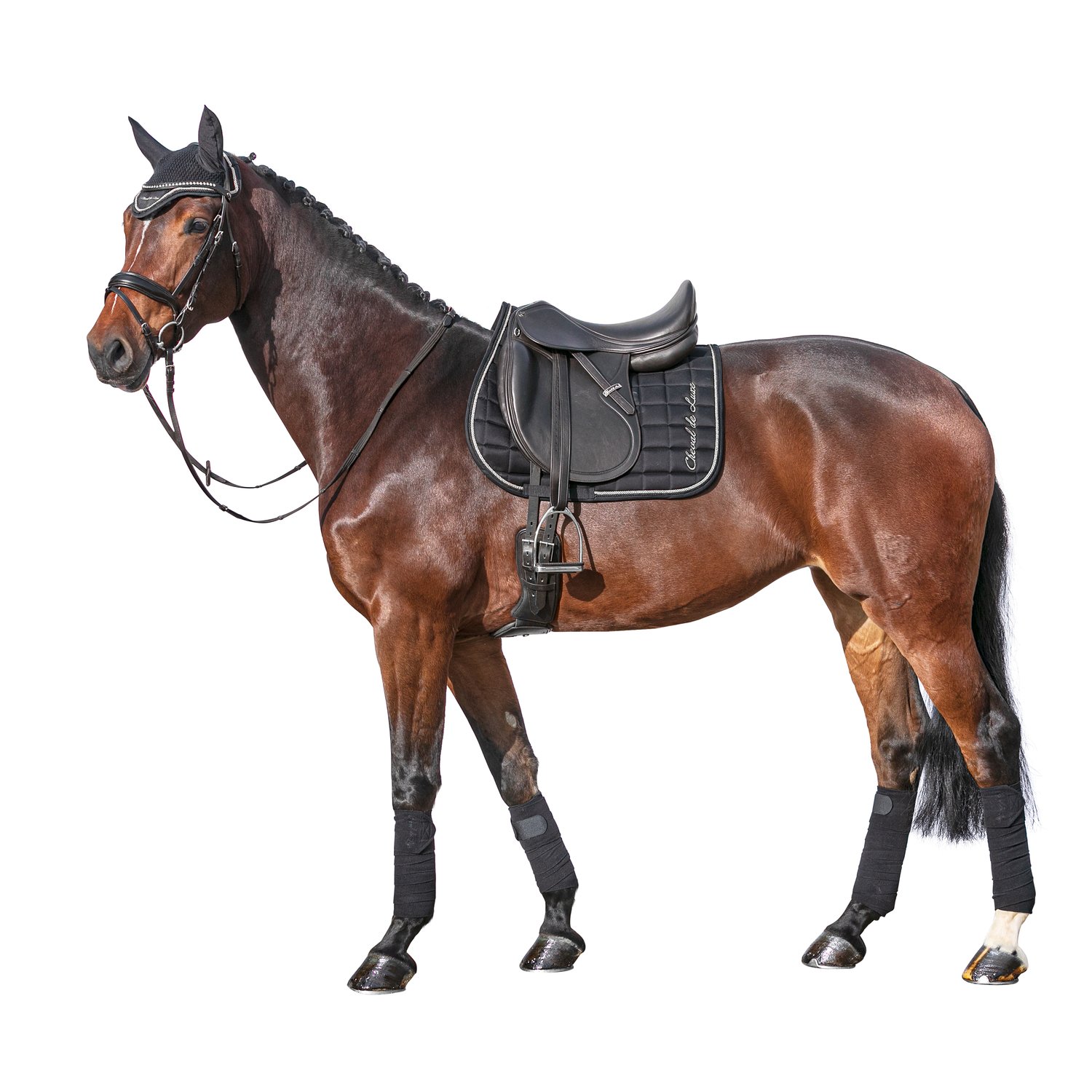 Cheval de Luxe Fliegenohren  - black/silver