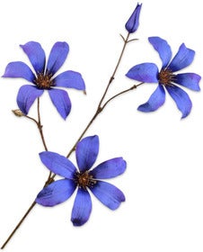 Silk-Ka kunstbloem Clematis blauw 73 cm