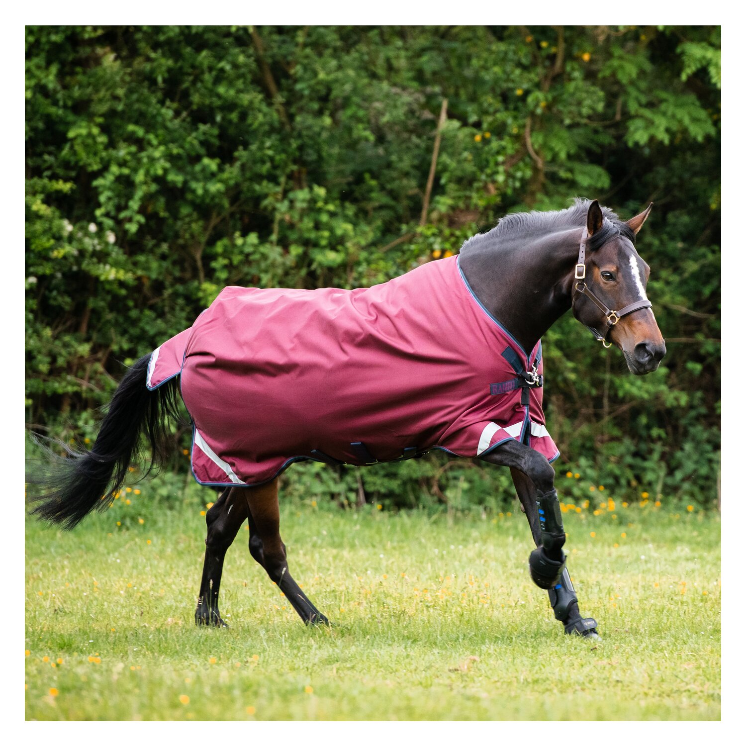 HORSEWARE Outdoordecke RAMBO Original Lite - burgudy