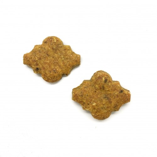 FlooppBITES Pacote de Biscoitos 100% Naturais para Cães